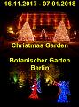 A Christmas Garden